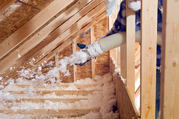 Best Soundproof Insulation  in Wrangell, AK